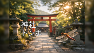 神社　トンボ　蜻蛉